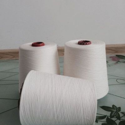 點(diǎn)擊查看詳細(xì)信息<br>標(biāo)題：緊密賽絡(luò)紡棉粘紗 閱讀次數(shù)：1905